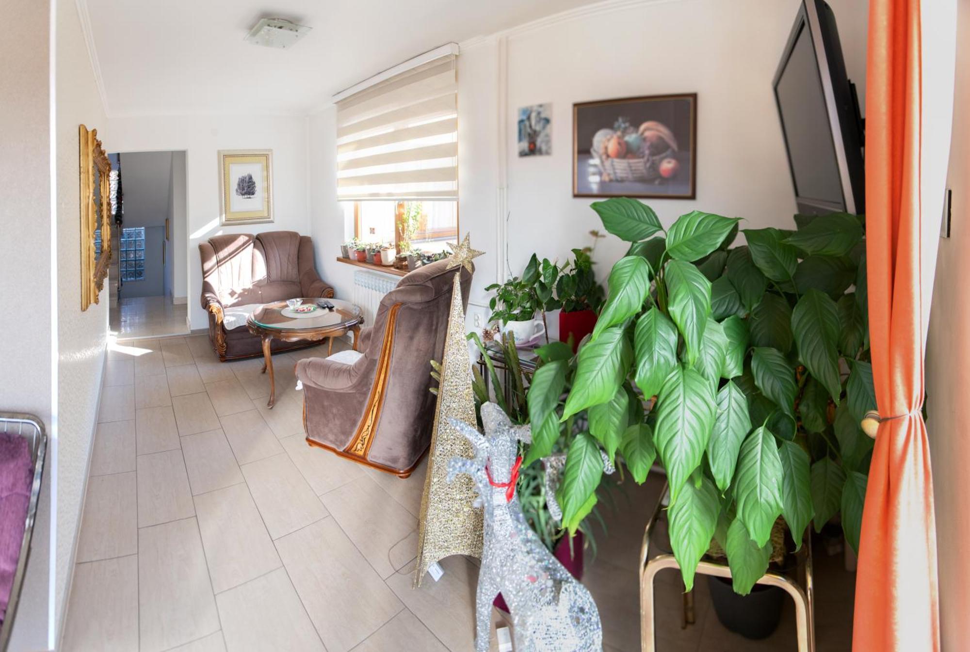 Guest House Ćiro SJJ Extérieur photo